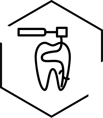 icon-endodontia-cerejeira-e-leao